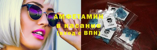 сатива Беломорск