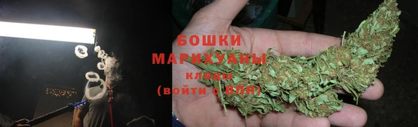 сатива Беломорск