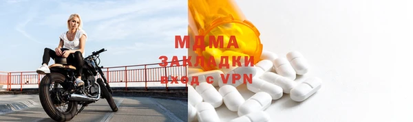сатива Беломорск