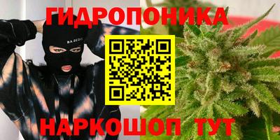 ГАЛЛЮЦИНОГЕННЫЕ ГРИБЫ Бийск