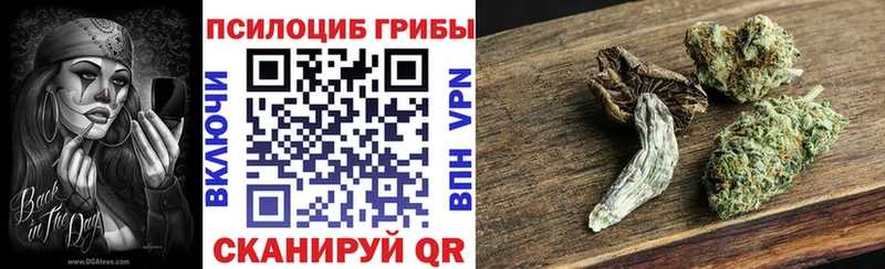 цена наркотик  Борисоглебск  Галлюциногенные грибы Psilocybine cubensis 